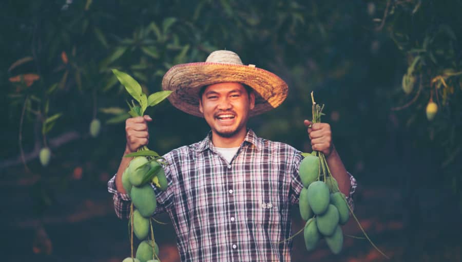 The Villa - Guided Farm Tours