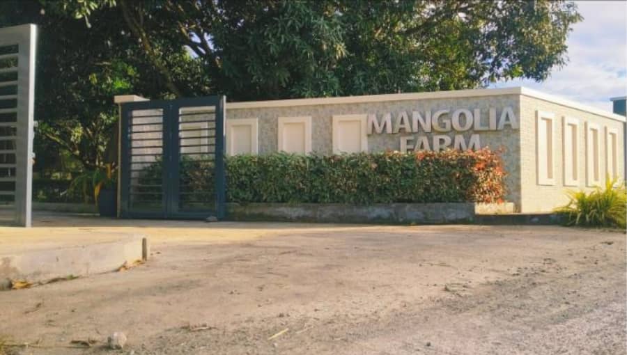 The Villa - Photoshoot Venue
